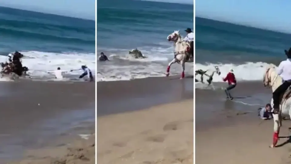 Olas en Mazatlán arrastran a caballos y jinetes
