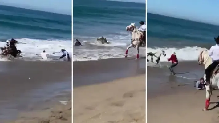 Olas en Mazatlán arrastran a caballos y jinetes