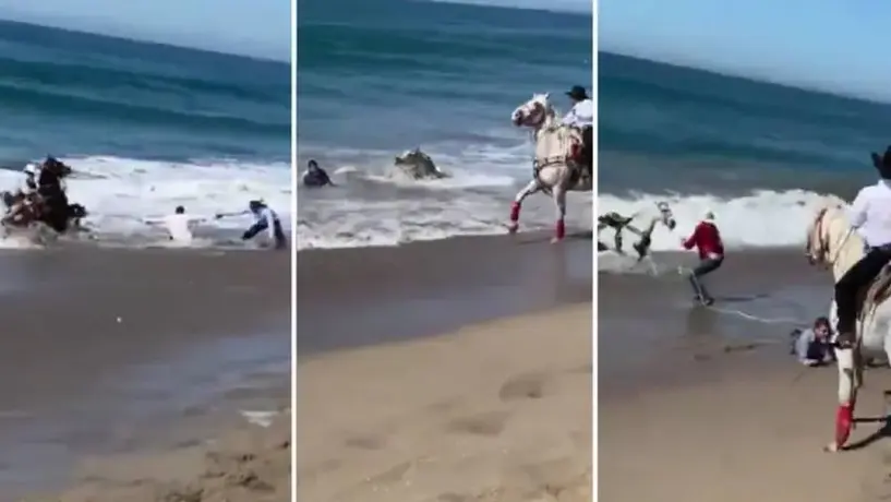 Olas en Mazatlán arrastran a caballos y jinetes