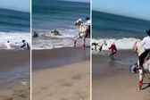 Olas en Mazatlán arrastran a caballos y jinetes