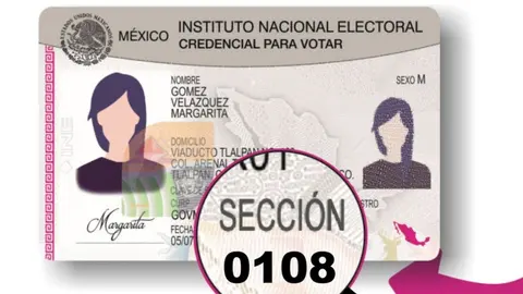 ¿Tienes trámites pendientes? Módulos del INE abren en domingo