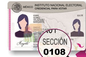 ¿Tienes trámites pendientes? Módulos del INE abren en domingo