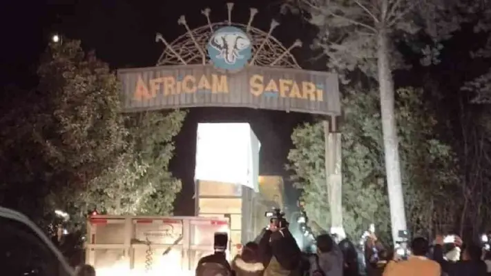 ¡La jirafa Benito ya está en Africam Safari!
