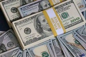 Así amanece el Peso frente al Dólar este 19 de enero