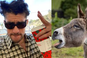 ¡Otro éxito de Bad Bunny! Ahora lo ponen a cantar ‘Mi burrito sabanero’ mediante Inteligencia Artificial