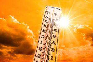 ¡Rompe récord! 2023 se convierte en el año más caluroso del mundo