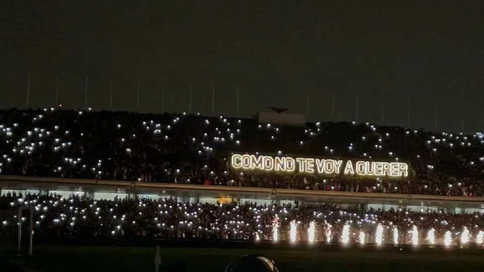 Pumas vs Tigres: La Rebel arma mosaico e ilumina el 'Cómo no te voy a querer'
