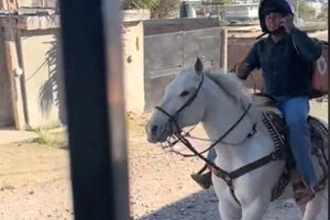 Se viraliza repartidor de DiDi que entrega sus pedidos a caballo ¡Chécalo!