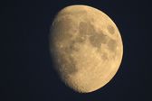 ¿Luna de Lobo? Qué es, cómo ocurre, cuándo verla