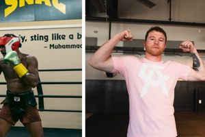 Demetrius Andrade buscará enfrentar al 'Canelo' después de su pelea contra Benavidez