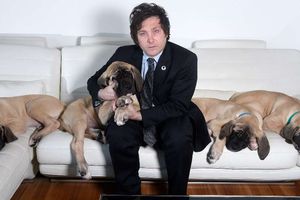Javier Milei, el nuevo Presidente argentino que tiene como mascotas a cuatro perros clonados