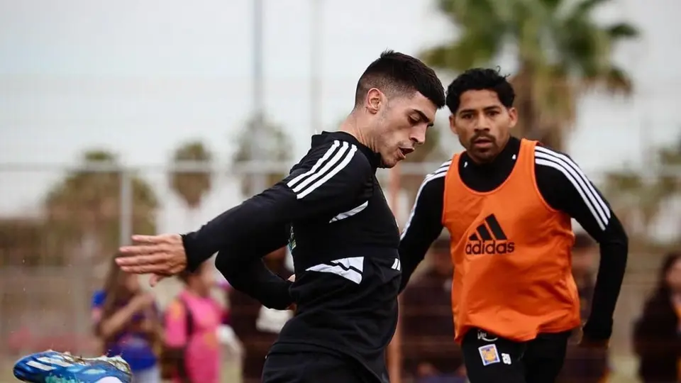 ¿Dorsal legendario? Este es el número que portará Brunetta con Tigres