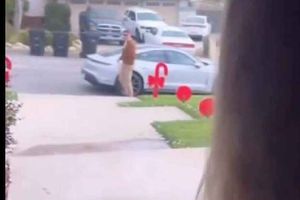 ¡Cómo Santa! Shohei Ohtani regaló un porsche a un compañero de los Dodgers