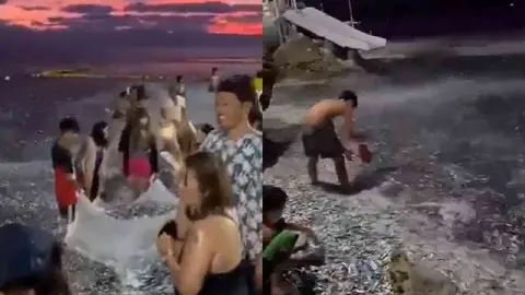 ¿Peces alertaron sobre terremoto en Filipinas?