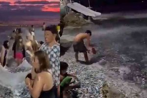 ¿Peces alertaron sobre terremoto en Filipinas?