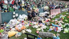 Así se vivió la lluvia de peluches en el Benito Villamarín en el Betis vs Real Madrid