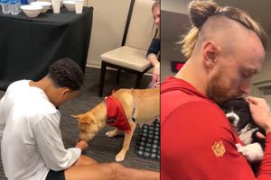 Los San Francisco 49ers se relajan con cachorros previo a la Final de Conferencia vs Detroit