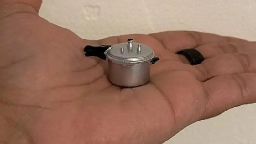 Temu aclara el incidente con una mamá que recibió una olla de presión miniatura