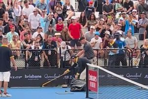 ¡Qué miedo! Una serpiente interrumpe partido de ATP 250