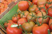 El jitomate sube un 40% y complica la cuesta de enero