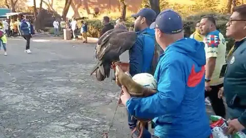 Celeste, la mascota de América, ya llegó a la cancha del Estadio Azteca