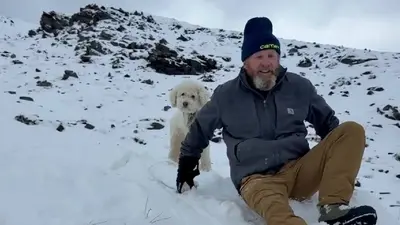 Rescatan con vida a perrita desaparecida durante 50 horas en Alaska