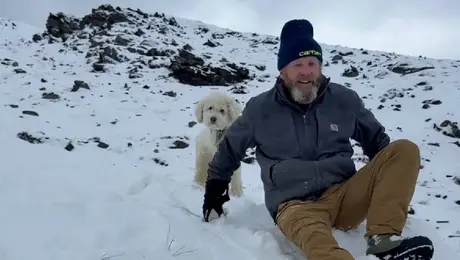 Rescatan con vida a perrita desaparecida durante 50 horas en Alaska