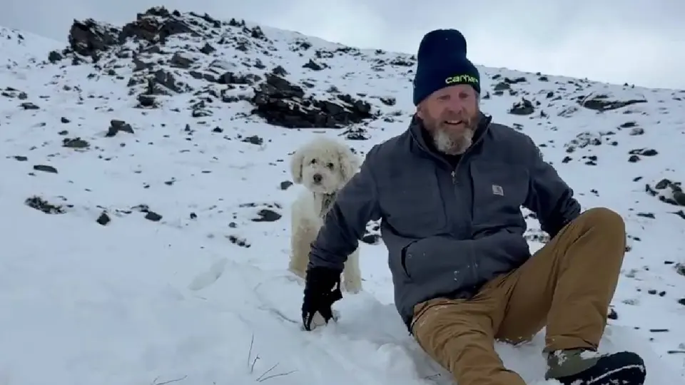 Rescatan con vida a perrita desaparecida durante 50 horas en Alaska