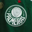 Palmeiras sufre tragedia a unas horas de la Final de la Copa Libertadores