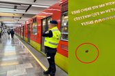 VIDEO: ¡Otra vez chinches en el Metro! Usuarios denuncian nueva plaga en Línea 9