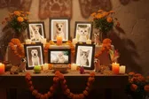 ¿Cuándo se pone la ofrenda para las mascotas en Día de Muertos 2025?