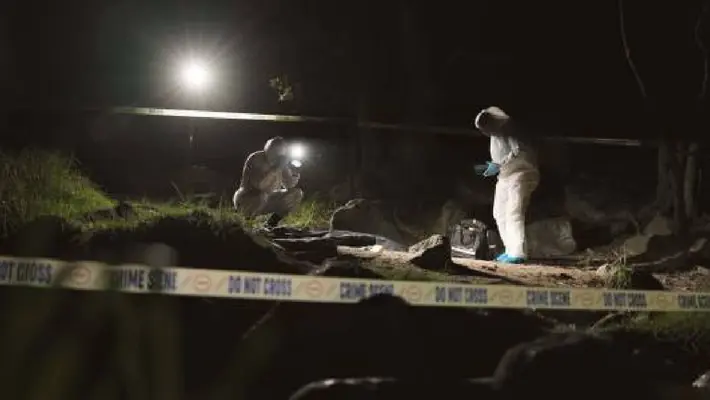 SESNSP reporta caída del 37% en homicidios dolosos: octubre de 2025, el mes más bajo en 13 meses