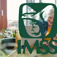 Registro biométrico del IMSS: paso a paso para que jubilados lo hagan sin complicaciones
