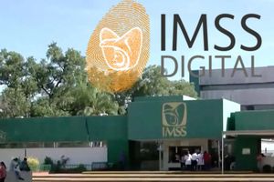 IMSS ya pide datos biométricos para trámites; cuales son y para qué los necesita