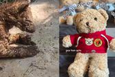 Mina, la osa rescatada de La Pastora, tendrá su propio peluche con causa
