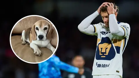"Nos han mentido y traicionado": El duro mensaje de Aaron Ramsey tras perder a su perrita