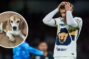 "Nos han mentido y traicionado": El duro mensaje de Aaron Ramsey tras perder a su perrita