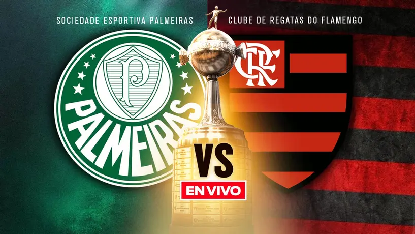 Palmeiras vs Flamengo EN VIVO Copa Libertadores Final