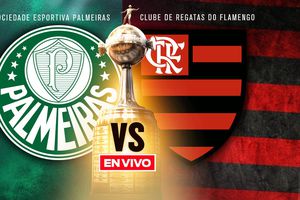 Palmeiras vs Flamengo EN VIVO Copa Libertadores Final