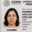 Licencia de conducir permanente CDMX: Esto costará por el Buen Fin 2025