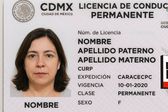 Licencia de conducir permanente CDMX: Esto costará por el Buen Fin 2025