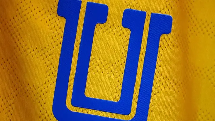 Top 10 peores fichajes en la historia de Tigres