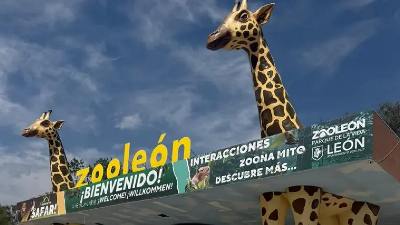 Renuncia director del Zoológico de León tras muerte de animales por ataques y negligencia