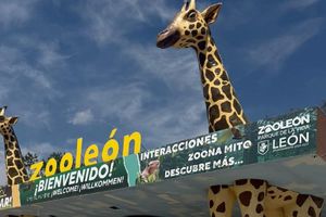 Renuncia director del Zoológico de León tras muerte de animales por ataques y negligencia