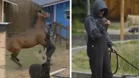 VIDEO: Sergio Mayer Mori sufre accidente con un caballo en La Granja VIP