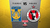 Tigres vs Xolos EN VIVO Liga MX Apertura 2025 Jornada 15