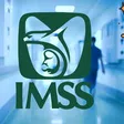 IMSS lanza consultas médicas nocturnas para trabajadores: horarios y estados disponibles