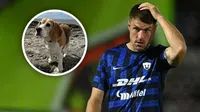 Aaron Ramsey dedica conmovedor mensaje a su perrita extraviada Halo