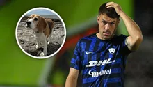 Aaron Ramsey dedica conmovedor mensaje a su perrita extraviada Halo