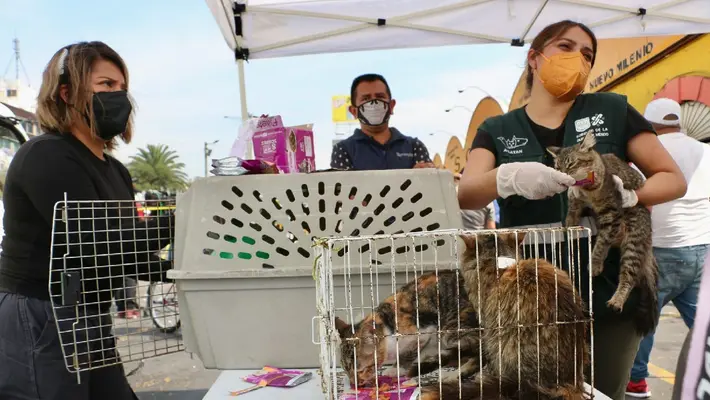 CDMX prohibirá la venta de animales en el Mercado de Sonora: la fecha ya está puesta
